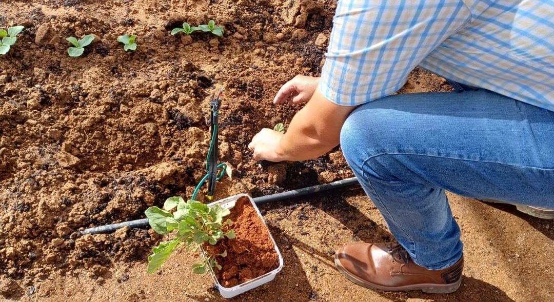 PROMOTING NUTRITION AND SUSTAINABILITY