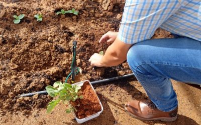 PROMOTING NUTRITION AND SUSTAINABILITY